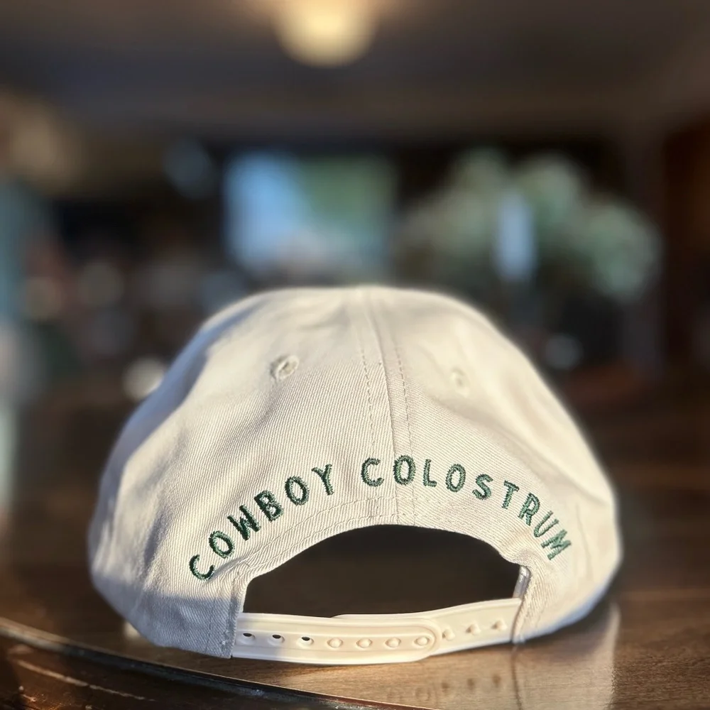 Green and White Cowboy Hat - Picture 3 of 6